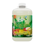 Jugo de Aloe Vera Galón 3.78L | Precio Especial Online | Best Health