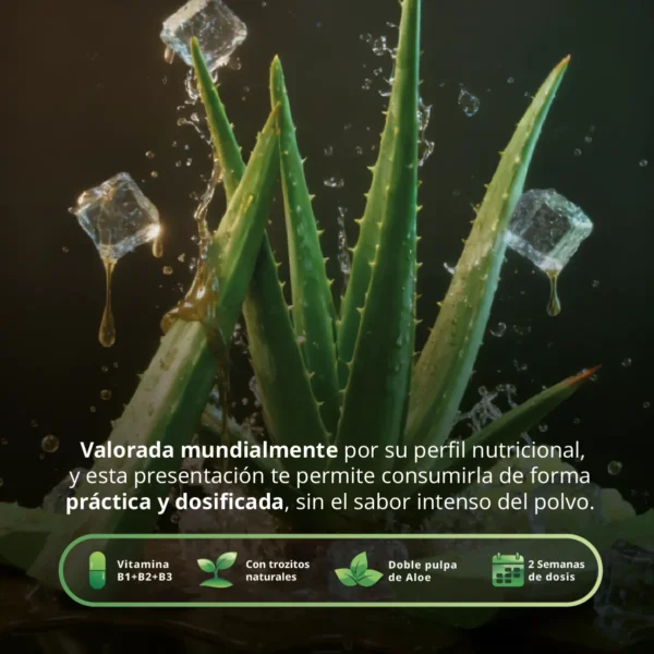 Jugo de Aloe Vera 3.78L (Galón) - Rendimiento Familiar Best Health - Imagen 3