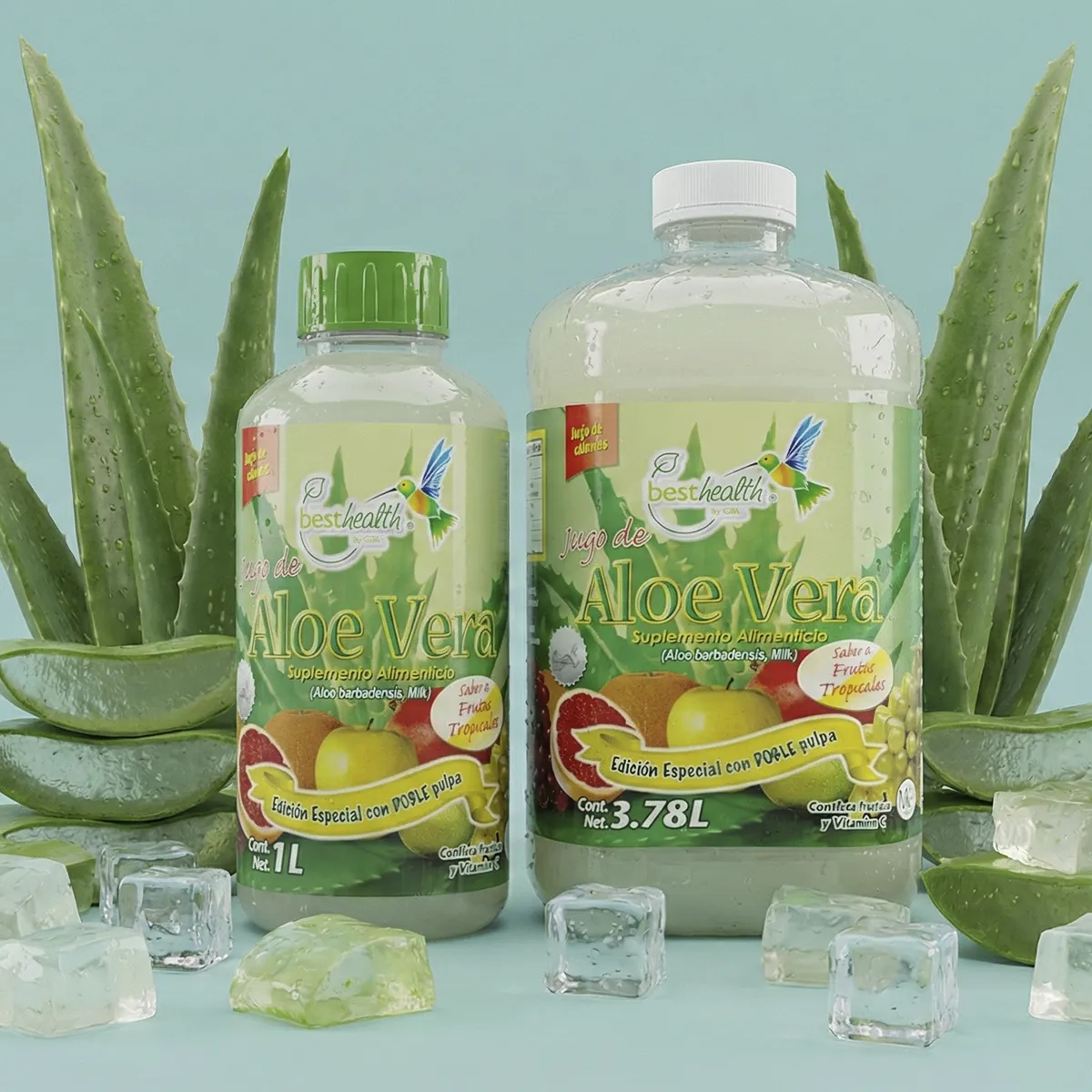 ALOE VERA CATEGORIA MINIATURA