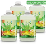 4 Pack Jugo de Aloe Vera Galón 3.78 L | MEJOR PRECIO POR GALÓN | BEST HEALTH